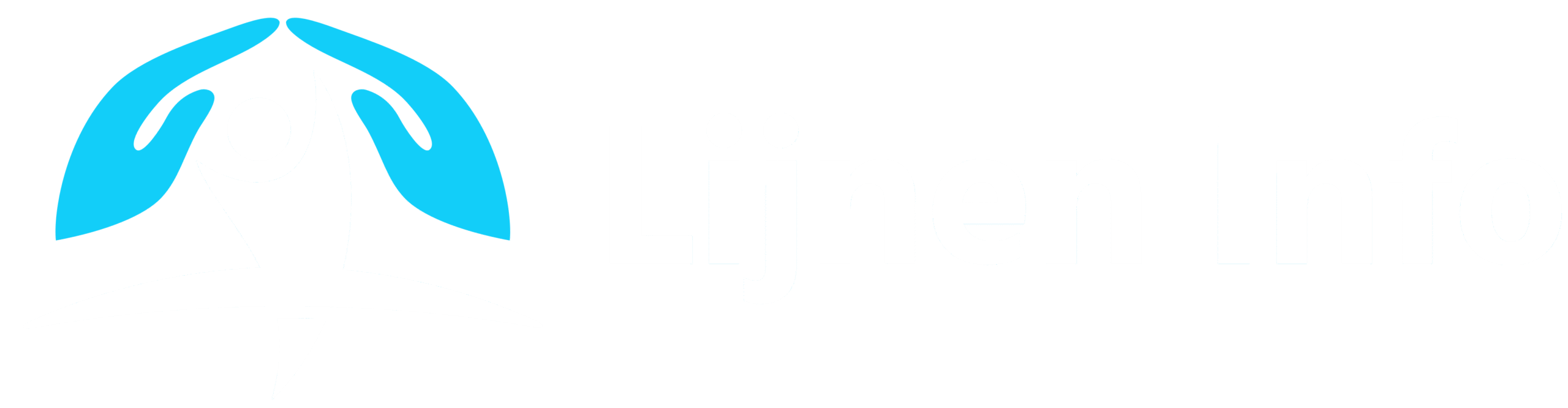 Lijnen Info